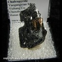 Mineral Specimen: Chalcopyrite on Bournonite from Yaogangxian Mine, Hunan, China