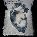 Minerals Specimen: Benitoite on Natrolite from Gem Mine, San Benito County, California Minerals Specimen: Benitoite on Natrolite from Gem Mine, San Benito County, California