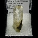 Mineral Specimen: Danburite from Mina la Bufa, Charcas, Mun. de Charcas, San Luis Potosi, Mexico Ex. Hoisinger collection Mineral Specimen: Danburite from Mina la Bufa, Charcas, Mun. de Charcas, San Luis Potosi, Mexico Ex. Hoisinger collection