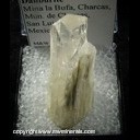 Mineral Specimen: Danburite from Mina la Bufa, Charcas, Mun. de Charcas, San Luis Potosi, Mexico Ex. Hoisinger collection Mineral Specimen: Danburite from Mina la Bufa, Charcas, Mun. de Charcas, San Luis Potosi, Mexico Ex. Hoisinger collection