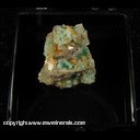 Minerals Specimen: Dioptase, Wulfenite, Willemite (fluorescent) Wulfenite crystals broken from Mammoth-Saint Anthony Mine, Tiger, Pinal Co., Arizona Dave Shannon 9/1/88 Minerals Specimen: Dioptase, Wulfenite, Willemite (fluorescent) Wulfenite crystals broken from Mammoth-Saint Anthony Mine, Tiger, Pinal Co., Arizona Dave Shannon 9/1/88