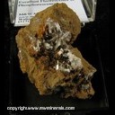 Mineral Specimen: Aragonite from Jeffrey Quarry, Parma, Jackson Co., Michigan</br>Good Fluorescence and Phosphorescence Mineral Specimen: Aragonite from Jeffrey Quarry, Parma, Jackson Co., Michigan</br>Good Fluorescence and Phosphorescence
