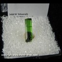 Mineral Specimen: Tourmaline (gemmy, not terminated) from Minas Gerais, Brazil Mineral Specimen: Tourmaline (gemmy, not terminated) from Minas Gerais, Brazil