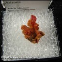 Mineral Specimen: Vanadinite from Pure Potential Mine, Silver District, Trigo Mts., La Paz Co., Arizona Mineral Specimen: Vanadinite from Pure Potential Mine, Silver District, Trigo Mts., La Paz Co., Arizona