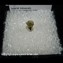 Mineral Specimen: Leucophanite on Aegerine from Poudrette quarry, Mont Saint-Hilaire, Quebec, Canada Mineral Specimen: Leucophanite on Aegerine from Poudrette quarry, Mont Saint-Hilaire, Quebec, Canada