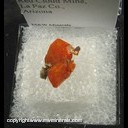 Mineral Specimen: Wulfenite from Red Cloud Mine, La Paz Co., Arizona Mineral Specimen: Wulfenite from Red Cloud Mine, La Paz Co., Arizona