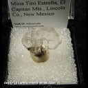 Mineral Specimen: Quartz, Japan Law Twin from Mina Tiro Estrella, El Capitan Mts., Lincoln Co., New Mexico