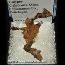 Mineral Specimen: Copper from Caledonia Mine, Ontonagon Co., Michigan Mineral Specimen: Copper from Caledonia Mine, Ontonagon Co., Michigan