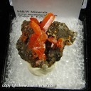 Mineral Specimen: Wulfenite from Red Cloud Mine, La Paz Co., Arizona Mineral Specimen: Wulfenite from Red Cloud Mine, La Paz Co., Arizona