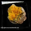 Mineral Specimen: Wulfenite, Mimetite from Rowley Mine, Thebes, Maricopa Co., Arizona Mineral Specimen: Wulfenite, Mimetite from Rowley Mine, Thebes, Maricopa Co., Arizona