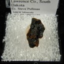 Minerals Specimen: Chalcophanite from Richmond Sitting Bull Mine, Galena District, Lawrence Co., South Dakota Ex. Steve Pullman Minerals Specimen: Chalcophanite from Richmond Sitting Bull Mine, Galena District, Lawrence Co., South Dakota Ex. Steve Pullman