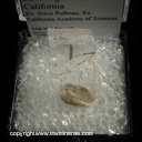 Mineral Specimen: Spodumene variety Kunzite (pale color) from San Diego Co., California Ex. Steve Pullman, Ex. California Academy of Sciences Mineral Specimen: Spodumene variety Kunzite (pale color) from San Diego Co., California Ex. Steve Pullman, Ex. California Academy of Sciences