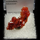 Mineral Specimen: Vanadinite from Mibladen, Morocco Mineral Specimen: Vanadinite from Mibladen, Morocco
