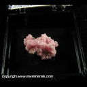 Mineral Specimen: Rhodochrosite from Silverton, Animas District, San Juan Co., Colorado Mineral Specimen: Rhodochrosite from Silverton, Animas District, San Juan Co., Colorado