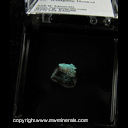 Mineral Specimen: Strashmirite from Wechselchact, Bahaus, Richelsdorf dist., Hesse, Germany Ex. Wolfgang Henkel Mineral Specimen: Strashmirite from Wechselchact, Bahaus, Richelsdorf dist., Hesse, Germany Ex. Wolfgang Henkel