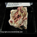 Minerals Specimen: Variscite, Maganoan from Boa Vista pegmatite, Conselheiro Pena, Doce valley, Minas Gerais, Brazil Minerals Specimen: Variscite, Maganoan from Boa Vista pegmatite, Conselheiro Pena, Doce valley, Minas Gerais, Brazil