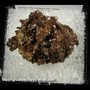 Minerals Specimen: Endlichite (Arsenian Vanadinite) from Erupcion Mine, Los Lamentos, Ahumada, Chihuhua, Mexico Minerals Specimen: Endlichite (Arsenian Vanadinite) from Erupcion Mine, Los Lamentos, Ahumada, Chihuhua, Mexico