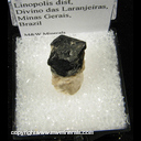 Minerals Specimen: Columbite - Tantalite from Linopolis, Minas Gerais, Brazil Ex. Dave Shannon Minerals Specimen: Columbite - Tantalite from Linopolis, Minas Gerais, Brazil Ex. Dave Shannon