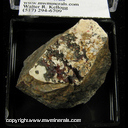 Minerals Specimen: Montroydite,Mercury, Metacinnabar, Quartz from Socrates Mine, Castle Rock Springs area, West Mayacmas Dist., Sonoma Co., California Minerals Specimen: Montroydite,Mercury, Metacinnabar, Quartz from Socrates Mine, Castle Rock Springs area, West Mayacmas Dist., Sonoma Co., California