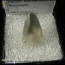 Mineral Specimen: Calcite with Included Marcasite from Ives Quarry, Racine. Racine Co., Wisconsis