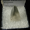 Mineral Specimen: Calcite with Included Marcasite from Ives Quarry, Racine. Racine Co., Wisconsis Mineral Specimen: Calcite with Included Marcasite from Ives Quarry, Racine. Racine Co., Wisconsis