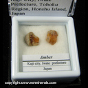 Mineral Specimen: Amber from Kuji City, Iwate Prefecture, Tohoku Region, Honshu Island, Japan Mineral Specimen: Amber from Kuji City, Iwate Prefecture, Tohoku Region, Honshu Island, Japan