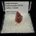 Minerals Specimen: Eudialyte from Kipawa alkaline complex, Les Lacs-du-Temiscamingue, Temiscamingue RCM, Quebec, Canada Minerals Specimen: Eudialyte from Kipawa alkaline complex, Les Lacs-du-Temiscamingue, Temiscamingue RCM, Quebec, Canada
