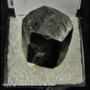 Mineral Specimen: Tourmaline, Schorl from Minas Gerais, Brazil