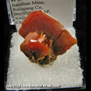Mineral Specimen: Wulfenite from Jianshan Mine, Ruoqiang Co., Bayin'gholin Auton. Pref., Xinjiang Auton. Region, China Mineral Specimen: Wulfenite from Jianshan Mine, Ruoqiang Co., Bayin'gholin Auton. Pref., Xinjiang Auton. Region, China