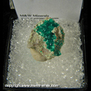 Mineral Specimen: Dioptase from Kaokoveld Plateau, Namibia Mineral Specimen: Dioptase from Kaokoveld Plateau, Namibia