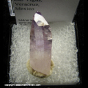 Mineral Specimen: Amethyst from Las Vigas, Veracruz, Mexico