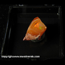Minerals Specimen: Opal, Cherry with Fire from Mexico, Ex. Vivian Randall, Purchased April, 1979 from Opex Minerals Specimen: Opal, Cherry with Fire from Mexico, Ex. Vivian Randall, Purchased April, 1979 from Opex