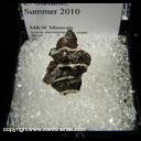 Mineral Specimen: Sphalerite from Lime City, Wood Co., Ohio C. Stefano, Summer, 2010