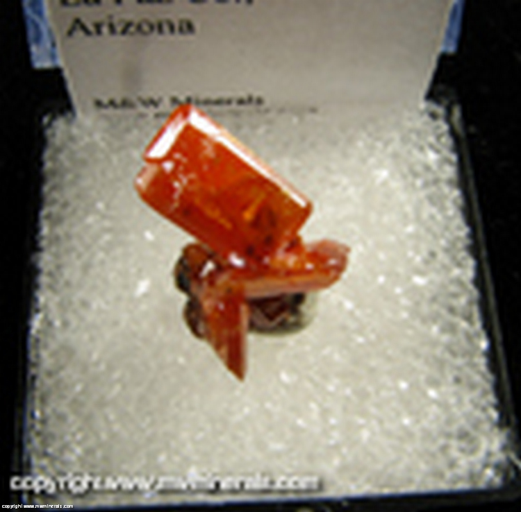 Minerals Specimen: Wulfenite from Red Cloud Mine, La Paz Co., Arizona Minerals Specimen: Wulfenite from Red Cloud Mine, La Paz Co., Arizona