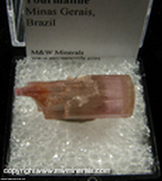 Mineral Specimen: Tourmaline, Double Terminated from Minas Gerais, Brazil