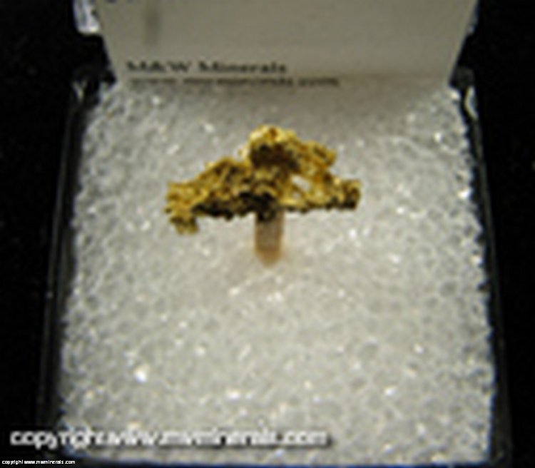 Mineral Specimen: Gold from Mockingbird Mine, Mariposa Co., California Mineral Specimen: Gold from Mockingbird Mine, Mariposa Co., California