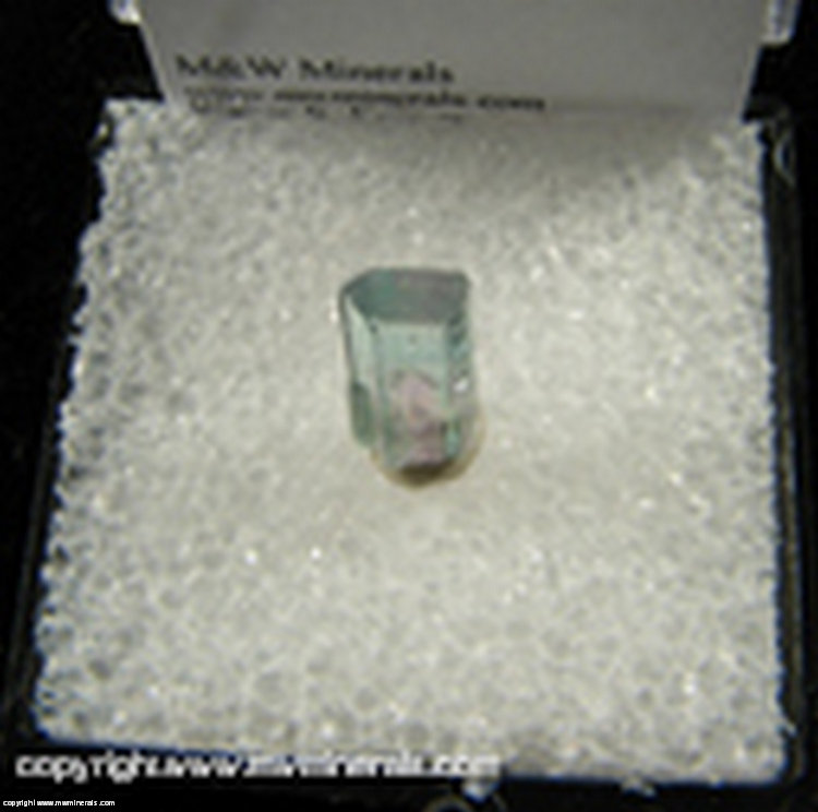 Mineral Specimen: Tourmaline from Mina Santa Rosa, Minas Gerais, Brazil Mineral Specimen: Tourmaline from Mina Santa Rosa, Minas Gerais, Brazil