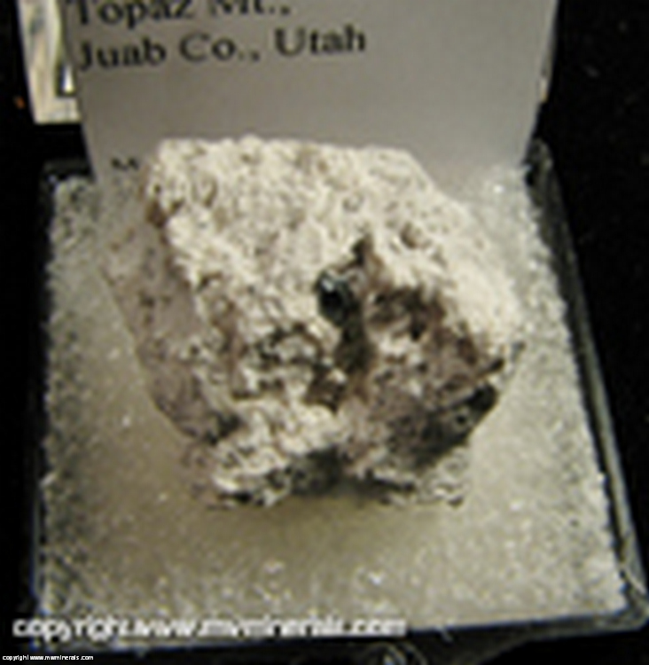 Mineral Specimen: Hematite on Rhyolite from Maynard's Claim, Thomas Range, Juab Co., Utah