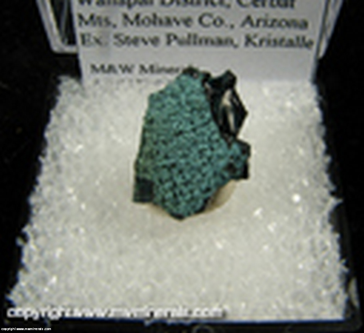 Minerals Specimen: Chrysocolla on Tenorite from Emerald Isle Mine, Wallapai District, Cerbat Mts, Mohave Co., Arizona Ex. Steve Pullman, Ex. Kristalle Minerals Specimen: Chrysocolla on Tenorite from Emerald Isle Mine, Wallapai District, Cerbat Mts, Mohave Co., Arizona Ex. Steve Pullman, Ex. Kristalle