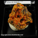 Mineral Specimen: Vanadinite and Mimetite from Tiger, Pinal Co., Arizona Mineral Specimen: Vanadinite and Mimetite from Tiger, Pinal Co., Arizona