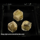 Mineral Specimen: Grossular Garnet from Sierra de Cruces, Coahuila, Mexico Mineral Specimen: Grossular Garnet from Sierra de Cruces, Coahuila, Mexico