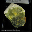 Minerals Specimen: Wavellite from Montgomery Co., Arkansas Minerals Specimen: Wavellite from Montgomery Co., Arkansas