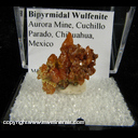 Minerals Specimen: Bipyramidal Wulfenite from Aurora Mine, Cuchillo Parado, Chihuahua, Mexico Minerals Specimen: Bipyramidal Wulfenite from Aurora Mine, Cuchillo Parado, Chihuahua, Mexico
