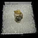 Minerals Specimen: Gold from Molly-Kathleen Mine, Cripple Creek, Teller Co., Colorado Minerals Specimen: Gold from Molly-Kathleen Mine, Cripple Creek, Teller Co., Colorado
