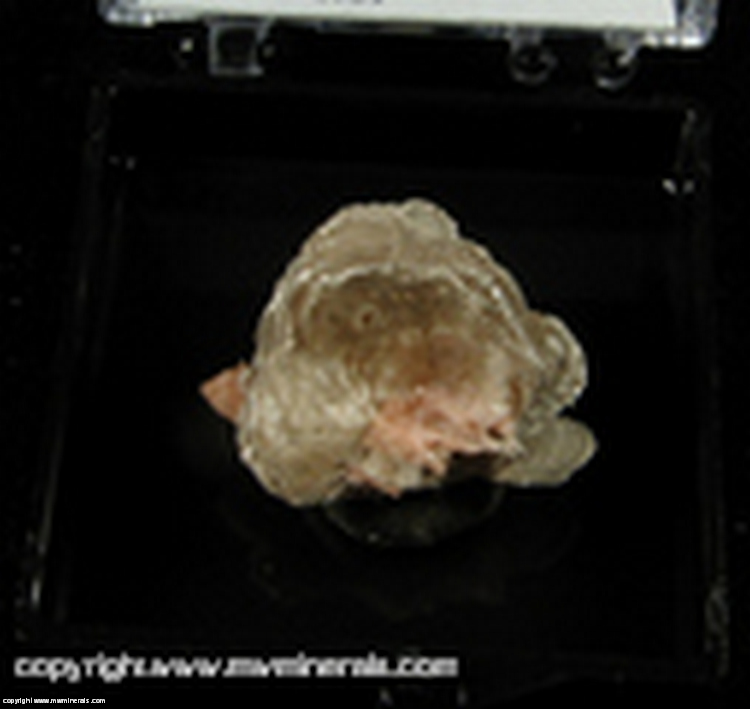 Minerals Specimen: Polylithionite, Serandite from Poudrette quarry, Mont Saint-Hilaire, Quebec, Canada Minerals Specimen: Polylithionite, Serandite from Poudrette quarry, Mont Saint-Hilaire, Quebec, Canada