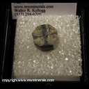 Minerals Specimen: Andalusite, variety: Chiastolite from Virginia Minerals Specimen: Andalusite, variety: Chiastolite from Virginia