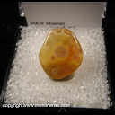 Minerals Specimen: Eye Agate from Chihuahua, Mexico Minerals Specimen: Eye Agate from Chihuahua, Mexico