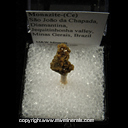 Minerals Specimen: Monazite-(Ce) from Sao Joao da Chapada, Diamantina, Jequitinhonha valley, Minas Gerais, Brazil Minerals Specimen: Monazite-(Ce) from Sao Joao da Chapada, Diamantina, Jequitinhonha valley, Minas Gerais, Brazil