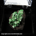 Mineral Specimen: Adamite variety: Cuprian from Tsumeb, Namibia Mineral Specimen: Adamite variety: Cuprian from Tsumeb, Namibia