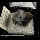 Mineral Specimen: Galena, Sphalerite from Joplin Field, Tri State District, Missouri Ex. A. Neely 1960s Mineral Specimen: Galena, Sphalerite from Joplin Field, Tri State District, Missouri Ex. A. Neely 1960s